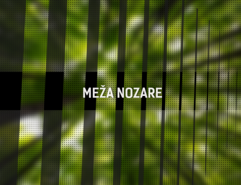 Meza nozare