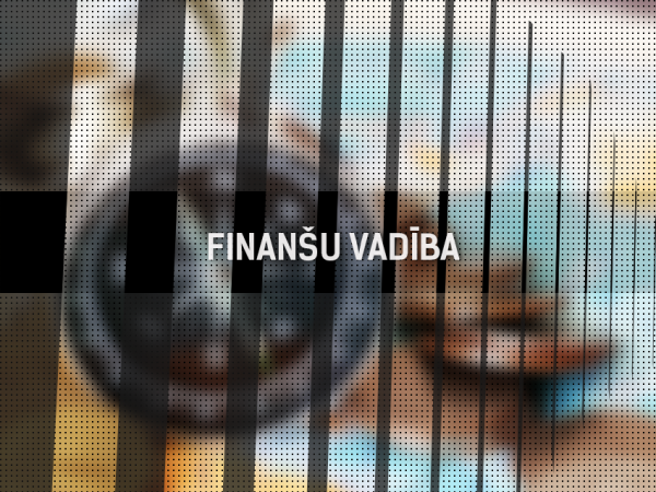 Finanšu vadības rokasgrāmata